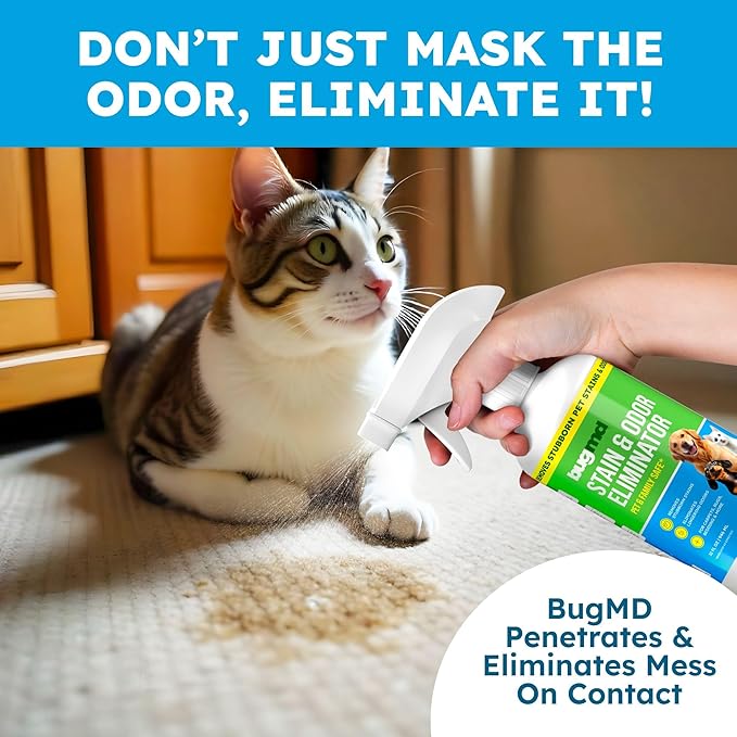 BugMD Enzyme Cleaner for Dog & Cat Urine | Pet Stain and Odor Remover for Carpet & Home | Unscented Urine Destroyer & Deodorizer