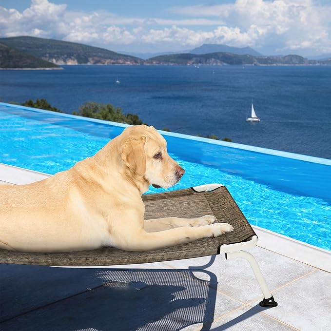 Veehoo Elevated Dog Bed for Outdoor, Cooling Waterproof Raised Dog Cots Beds for Large Dogs, Curved Off Ground Pet Hammock Cot Lifted for Outside, up to 85lbs, White Legs, Brown 42"