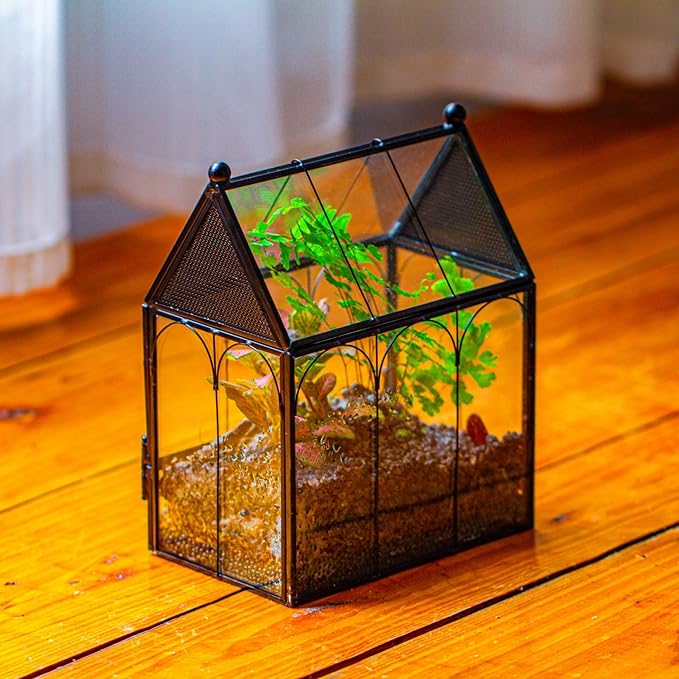 NCYP Small Glass Spider Enclosure with Mesh for Jumping Spiders, Snails, Micro House Shaped Front Opening Plant Terrarium, Home Decor Black, 5.8" x 3.8" x 7" (Terrarium Only)