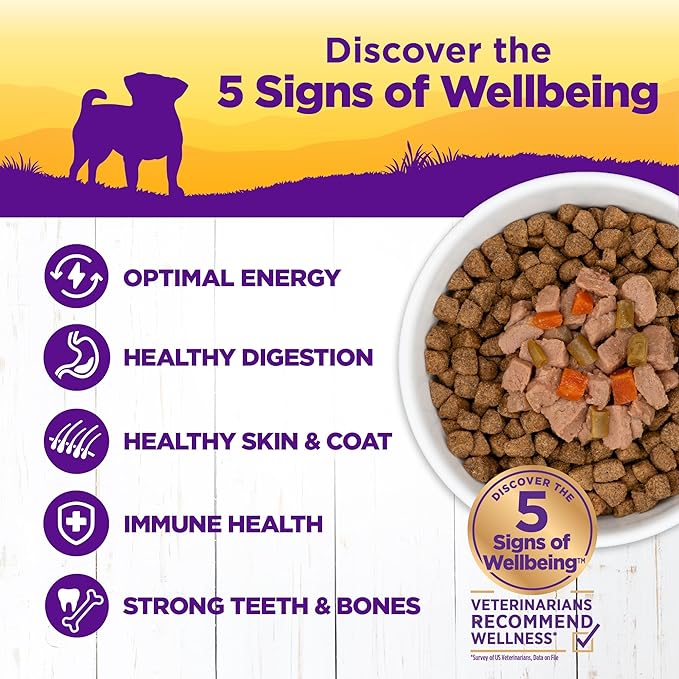 Wellness Petite Entrées Mini-Filets with Roasted Chicken, Beef, Carrots & Green Beans in Gravy, 3-Ounce Cup (Pack of 12)