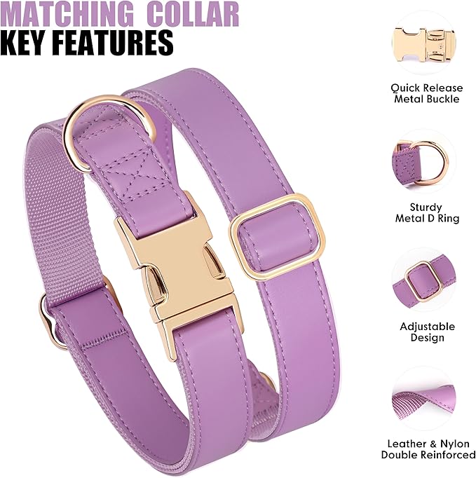 PET ARTIST PU Leather Dog Collar, Bright & Stylish Purple Dog Collar Girl with Quick Release Gold Metal Buckle, Soft Nylon Padded Durable Pet Collars Adjustable for Medium Dogs, Neck Fit 13-19"