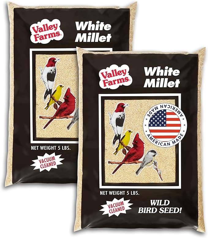 Valley Farms White Millet Wild Bird Seed 5 LB 2-Pack (10 LB Total) for Outside feeders, White proso Millet, Bird Watcher Secret Wild Bird Food