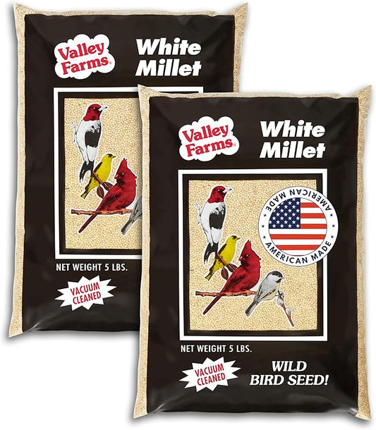 Valley Farms White Millet Wild Bird Seed 5 LB 2-Pack (10 LB Total) for Outside feeders, White proso Millet, Bird Watcher Secret Wild Bird Food