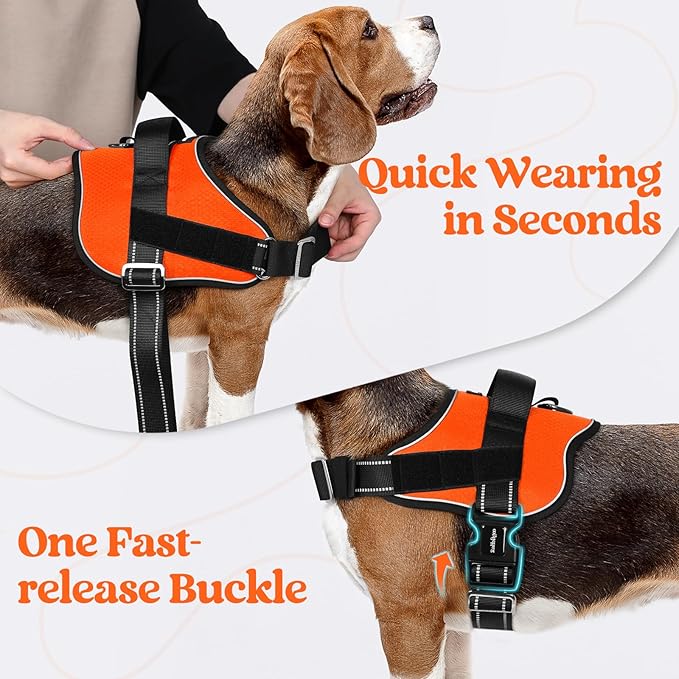 rabbitgoo Dog Harness for Small, Easy On Pet Vest with One Buckle, No Pull Adjustable Service Harness with D-Ring & Handle, Reflective for Safety Walking, Training, Orange, S