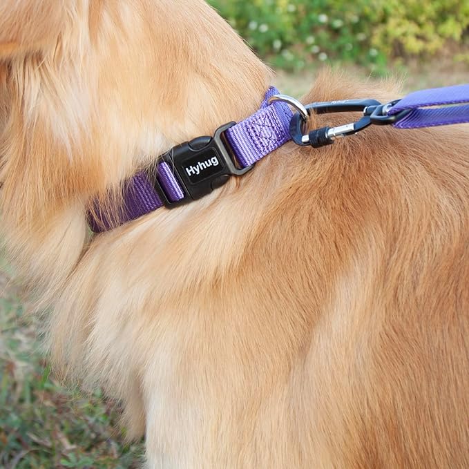 Hyhug Pets Solid Color Classic Regular Soft Nylon Basic Collar for Medium Breeds Dogs, Unique Design Adjustment Triglide Slide (Buckle) Can Attached Name Tag Accessories. (Medium, Ultra Violet)