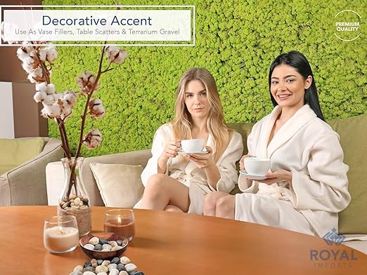 Royal Imports 1LBS River Rocks Decorative Ornamental Pebbles, Garden Landscaping Stones, Gravel Filler for Plants, Vases, Succulents, Home Decor, Aquariums, Crafting, Animal Habitat - Small Natural