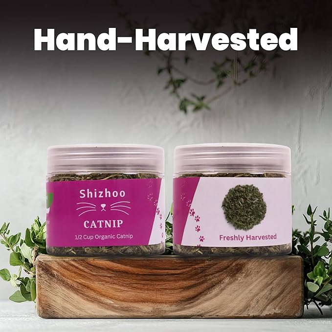 Catnip for Cats with Leaves and Flowers 100% Natural and Organic Catnip Premium Cat Nip for Cats & Kittens Used as a Snack or Refillable Catnip Treats for Cats (1/2 Cup, 2 Ounces)