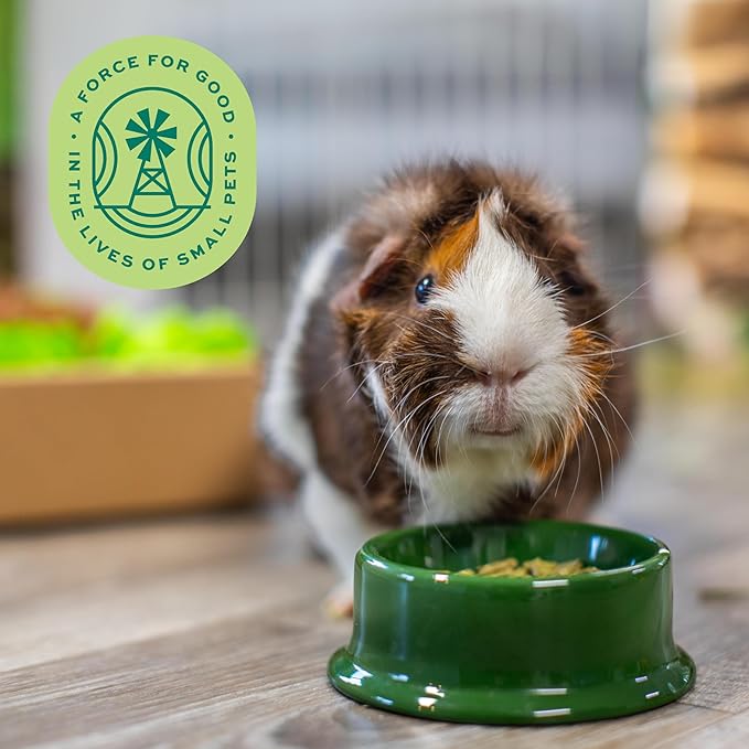 Oxbow Essentials Adult Guinea Pig Food - All Natural Adult Guinea Pig Pellets- No Artificial Ingredients- Veterinarian Recommended- All Natural Vitamins & Minerals- Made in the USA - 25 lb.