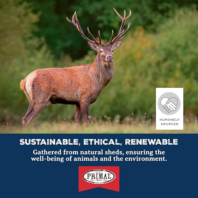 Primal Antlers for Dogs, Grade A Split Elk Antlers for Large Canines 30-45 lb, Natural Chews for Aggressive Chewers, Naturally Shed, Long Lasting Dog Bones, 1 ct