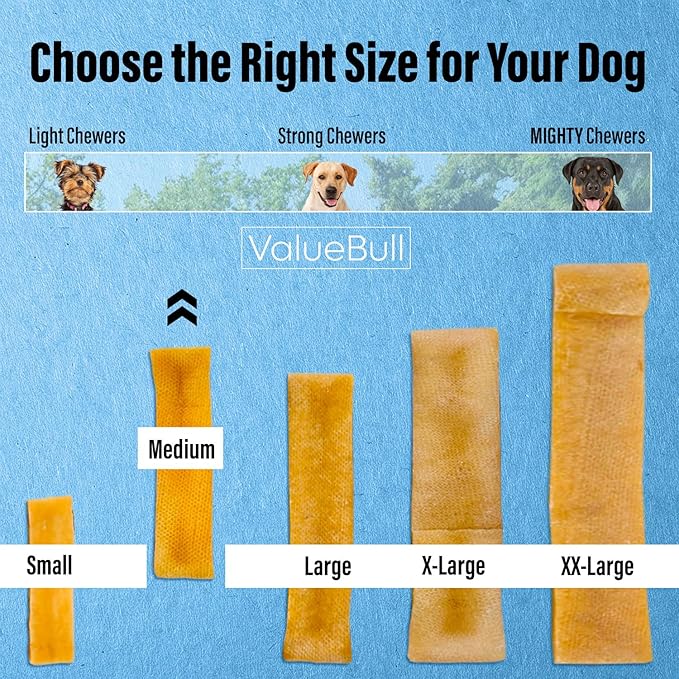 ValueBull Himalayan Yak Cheese Dog Chews, Medium, 100 ct Wholesale Pack - Long Lasting for Aggressive Chewers, All Natural, Healthy & Safe, Low Odor Nepal Yak Milk Chews