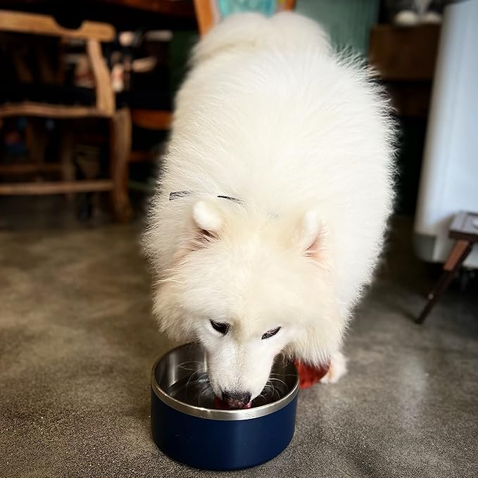 IKITCHEN Dog Bowl for Food and Water, 40 Oz Stainless Steel Pet Feeding Bowl, Durable Non-Skid Double Wall Insulated Heavy Duty with Rubber Bottom for Medium Large Sized Dogs (40 Ounces/5 Cup, Blue)