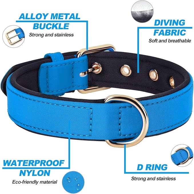 Didog Soft Padded Dog Collars for Medium Dogs, Lightweight and Breathable Dog Collar with Metal Buckle, Blue, L