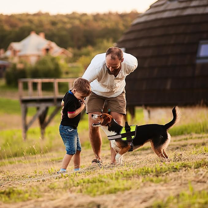 Dogline Dog Harness, Reflective No-Pull Adjustable Vest with Handle, Breathable No-Choke Harness for Small, Medium or Large Dogs Room for Patches Girth 15 to 18 in Lime Green