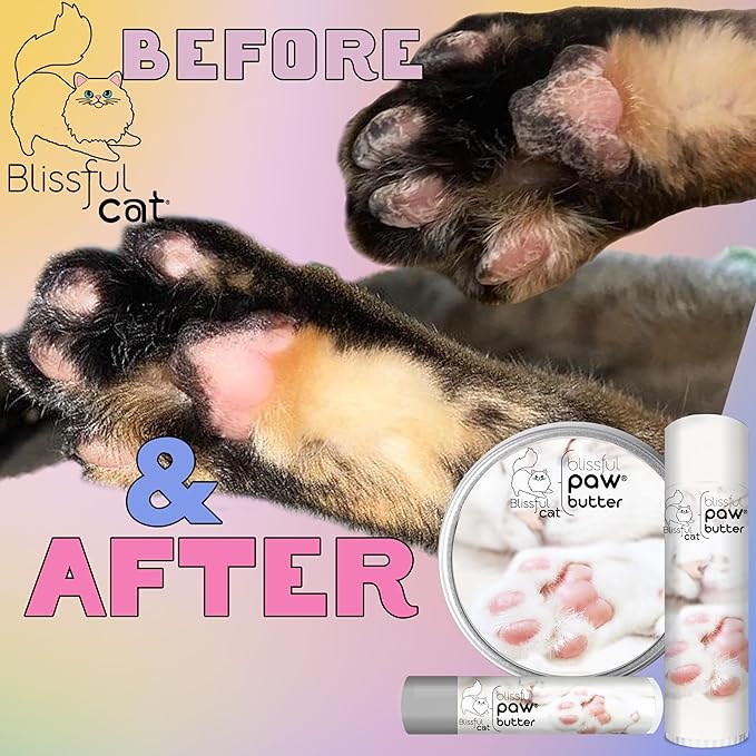 The Blissful Cat Paw Butter, Moisturizer for Dry Paw Pads, Softens and Protects a Rough Paw, Versatile, Lick-Safe Cat Paw Balm, 1 oz.