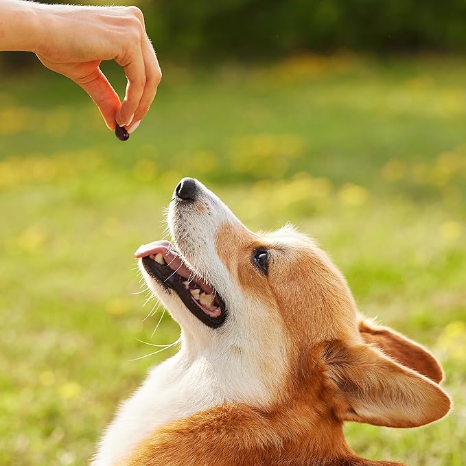 1TDC WorksSoWell Dual Action Joint Supplement for Dogs & Cats - Hip and Joint Supplement for Large Breed & Small Breed - Also Great for Oral Health - Muscle & Stamina Recovery & Arthritis - 60ct