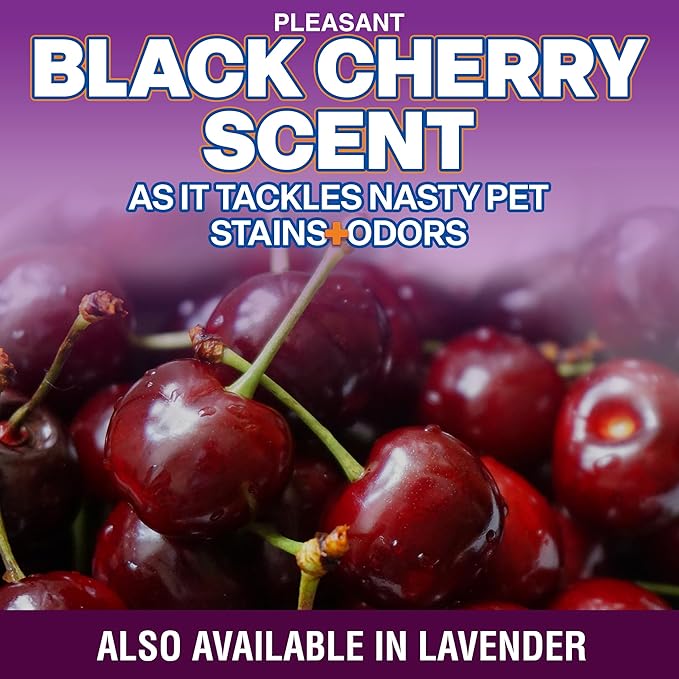 OdorPet Pet Stain Remover and Odor Eliminator - 16 Oz Ready To Use Spray, Non Staining, Professional Strength, Black Cherry Scent by Alpha Tech Pet