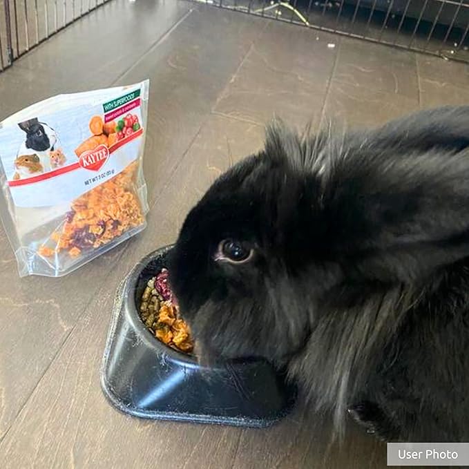 Kaytee Natural Snack with Superfoods For Pet Guinea Pigs, Rabbits, Hamsters, and Other Small Animals, Sweet Potato & Cranberry, 3 Ounces