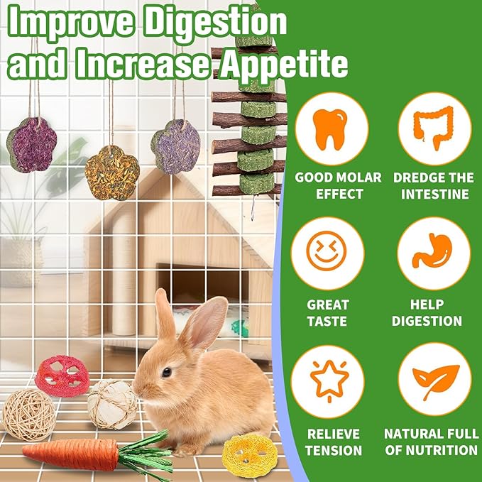 WDEFUN 21-Piece Natural Small Pet Chew Toys Set for Rabbits, Hamsters & Organic Grass Mat, Hay Sticks, Loofah Slices, Wooden Chews & More for Dental Health & Boredom Relief