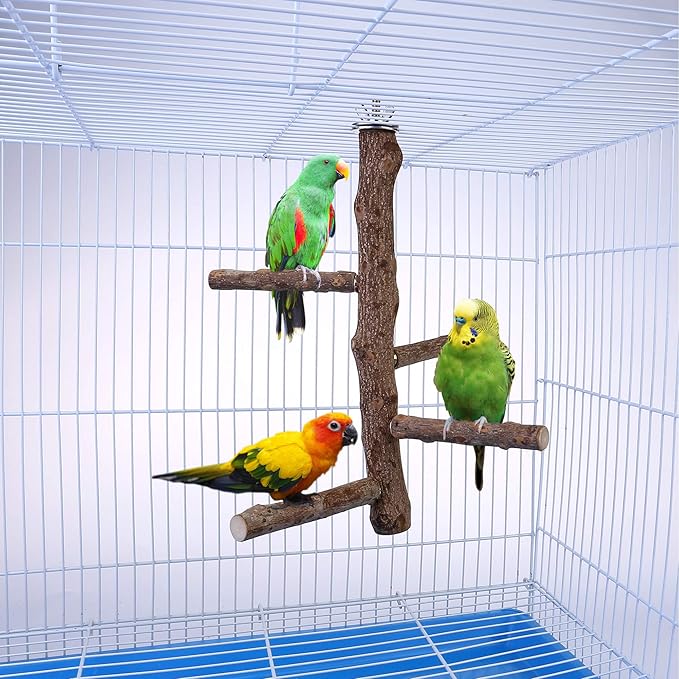 Bird Perch Stand Toy, Natural Wood Parrot Perch Bird Cage Branch Perch Accessories for Parakeets Cockatiels Conures Macaws Finches Love Birds (M: 10" Length)