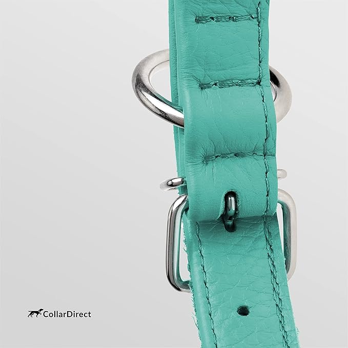 CollarDirect Rolled Leather Dog Collar, Soft Padded Round Puppy Collar, Handmade Genuine Leather Collar Dog Small Large Cat Collars 13 Colors (8-11 Inch, Mint Green Textured)