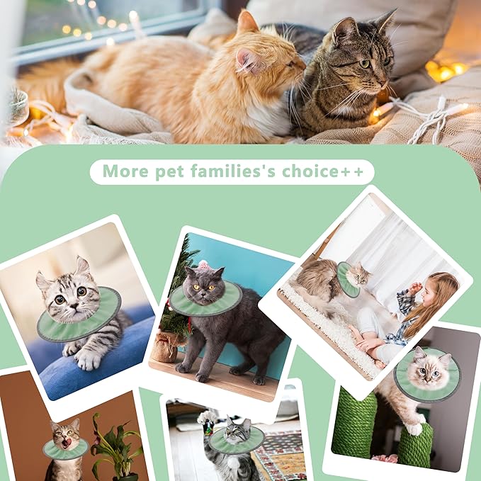 Lightweight Cat Cone Collar Soft, Soft Comfortable Cat Recovery Collar After Surgery, Elizabethan E Collar for Cats, Cone for Cats to Stop Licking (Mint Green, Medium)