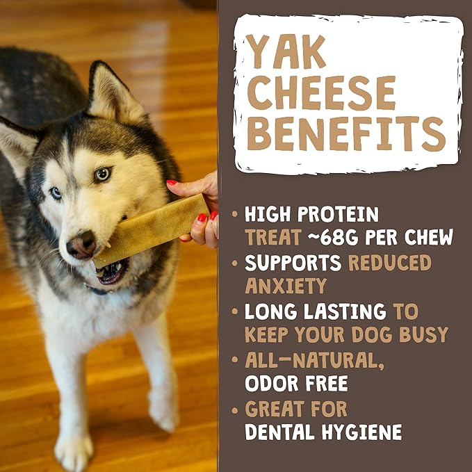 Mighty Paw Yak Cheese Chews for Dogs | All-Natural Long Lasting Treats. Odorless and Great for Oral Health. Limited-Ingredient Chews for Puppies & Power-Chewers (Large, 12 Pack)1 Count (Pack of 1)