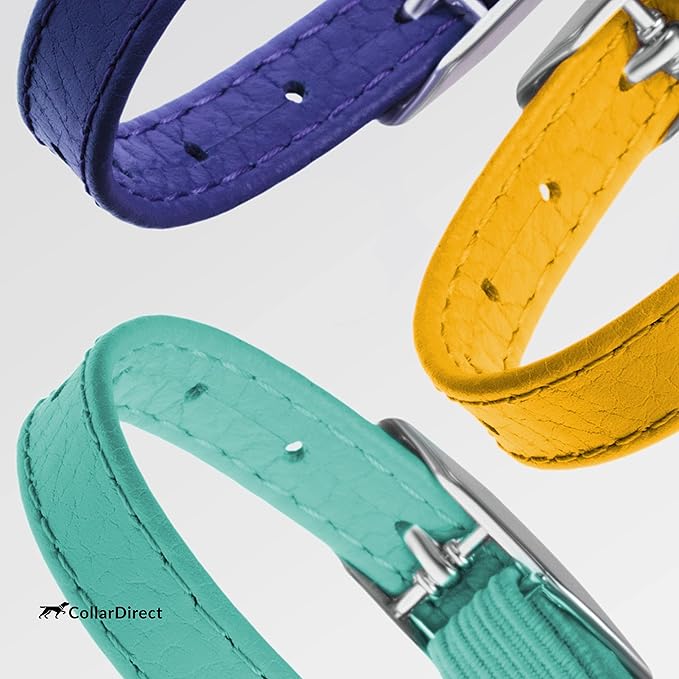 CollarDirect Leather Cat Collar with Removable Bell – Safety Kitten Collar with Elastic Strap (Yellow, 15 - 18 cm)