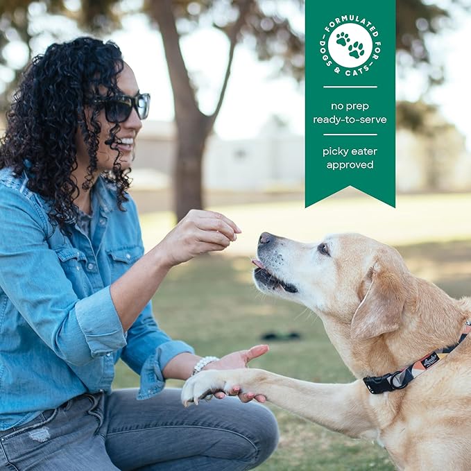 smallbatch Freeze Dried Dog Treats, Superfood Food Topper Lamb Bites for Dogs & Cats, Probiotics, Organic Ingredients, High Protein, Grain Free Healthy Treat or Food Topper, Made in The USA, 7 oz Bag