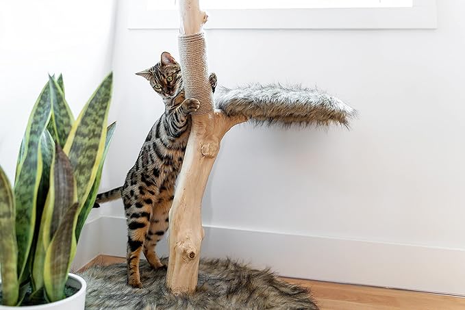Wooden Cat Tree Tower, Modern Single Branch Cat Condo, Wood Cat Tree, Cat Climbing, Furniture for Cat, Cat Lover Gift, Cat Furniture,Cat Gift by MAU LIFESTYLE (Brown)