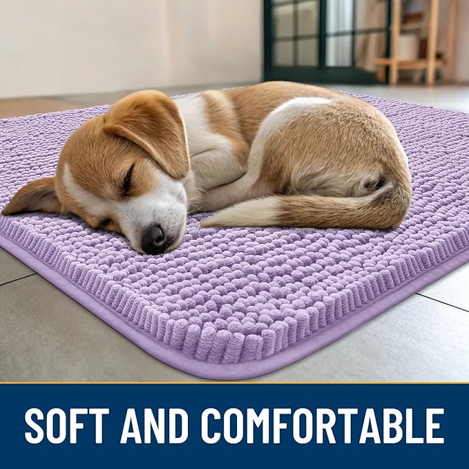 Smiry Dog Door Mat for Muddy Paws 24x16, Absorbs Moisture and Dirt Doormat, Non-Slip Washable Quick Dry Chenille Front Door Mat Indoor Entrance, Entryway Carpet for Inside Floor, Lavender