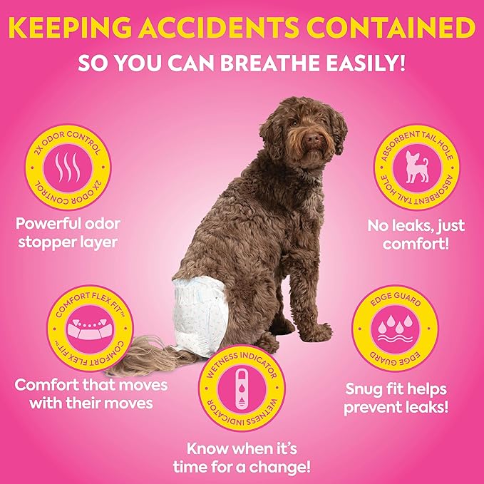 OUT! PetCare Disposable Dog Diapers Female, Potty Training, Dog Diapers, Female Doggie in Heat, Puppy Training, Incontinence, Puppy Essentials 9”-14” Waist (Toy, 32ct)