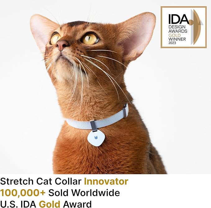 Safety Cat Collar Pro and Tag Set - U.S. IDA Gold Award, Elastic Release Cat Collar Charm Tag, Non Breakaway Cat Collar Adjustable with Charm for Kitten Small Large Cats (Burgundy, M)