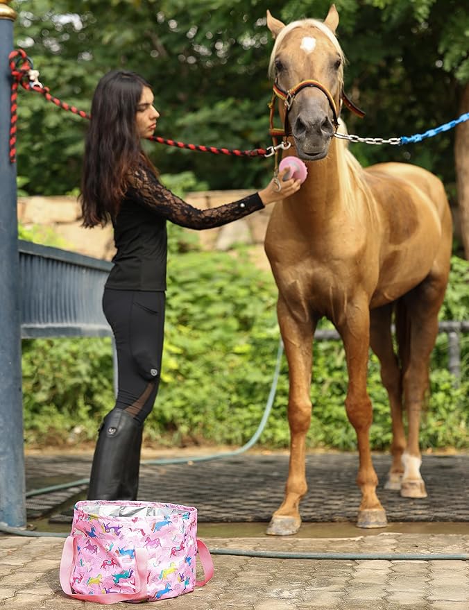 Harrison Howard Horse Grooming Kit 11-Piece Equine Care Series Horse Brush Sets with Organizer Tote Bag Tack Room Supplies Shedding Grooming Massaging Tools Pink Brushstroke Ponies