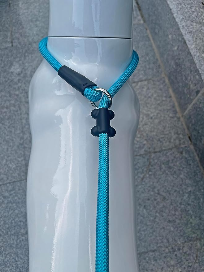 Slip Lead Dog Leash，Strong Nylon Rope Leash and Padded Handle,No Pull Outdoor Walking Training Lead for Small Medium Large Dogs(Blue, 1/2"×6ft)