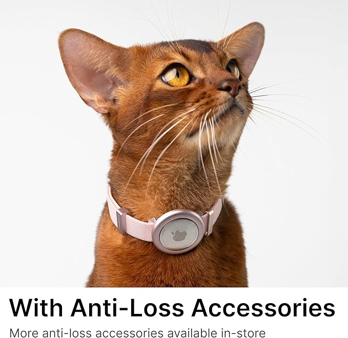 Safety Cat Collar Pro - U.S. IDA Gold Awarding Design, Elastic Quick Release Cat Collar with Buckle Non Breakaway - Lightweight for Kitten All Small Large Cats (Space Gray, S 5.9-11.8")