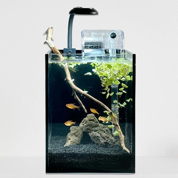 Nano Aquarium Kit,1.5 Gallon Rimless Small Glass Tank with Filter, Aquarium Light, and Aquascaping Decorations, for Home and Office (Black Tank - Rock, Small)
