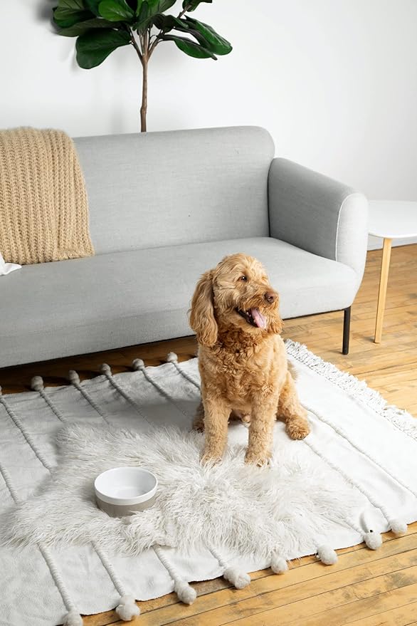 Waggo Dipper Ceramic Dog Bowl for Small and Large Breeds - Heavyweight and Durable Pet Food and Water Dish Crock, Dishwasher Safe, Modern (Rose, Medium)