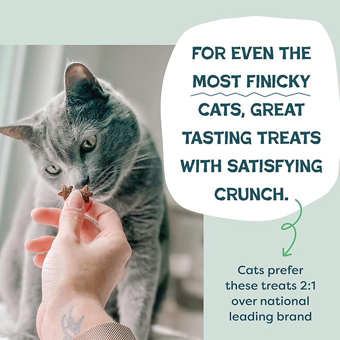 Shameless Pets Crunchy Cat Treats - Kitty Treats for Cats with Digestive Support, Natural Ingredients Kitten Treats with Real Ingredients, Healthy Flavored Feline Snacks - Variety Pack, 3-Pk