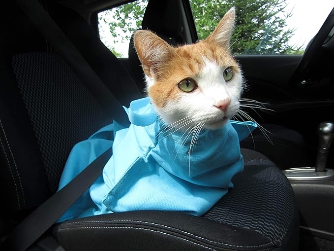 Cozy Comfort Carrier - X-Large Green Cat Carrier, Cat Holder for Cutting Nails, & Cat Carrier Pouch for Vet Visits, Medication Administration, Dental Care, & Travel