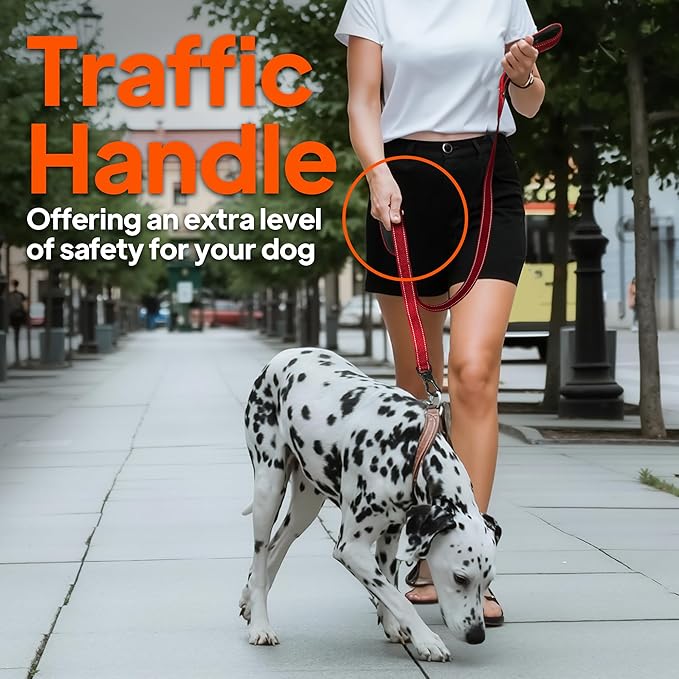 TwoEar 4FT 1IN Strong Blue Dog Leash with 2 Padded Handles, Traffic Handle Extra Control, Comfortable Soft Dual Handle, Auto Lock Hook, Reflective Walking Lead for Small Medium and Large Dogs