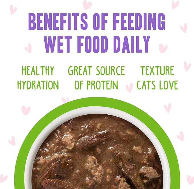 Weruva B.F.F. OMG - Best Feline Friend Oh My Gravy!, Tuna & Lamb Luv Ya with Tuna & Lamb in Gravy Cat Food, 3oz Pouch (Pack of 12)