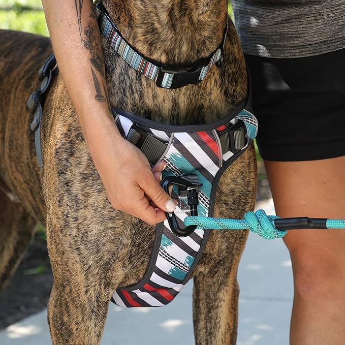 Embark Adventure Dog Harness, Reflective Trim XL Dog Harness for Extra Large Dogs No Pull - Military Grade Nylon, 2 Leash Clips & Gel Lined Handle.