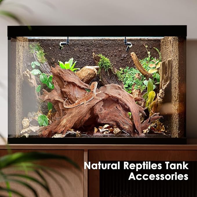 Natural Aquarium Driftwood for Fish Tanks & Reptile Terrariums – Safe Fish Tank Decorations, Unique Twisted Branches 3-Piece 7-11 Inch Low Tannin, Easy to Sink