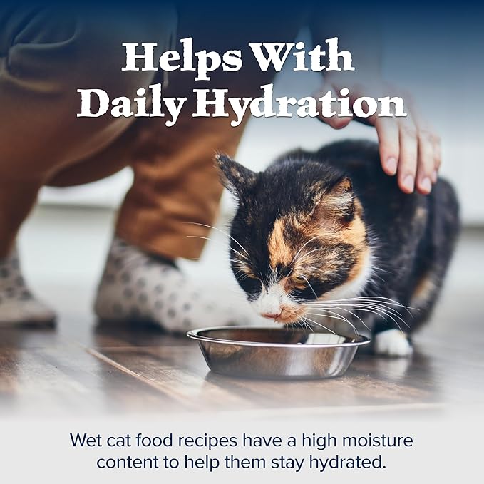 Blue Buffalo Wilderness Wild Delights Meaty Morsels Wet Cat Food, High-Protein & Grain-Free, Made with Natural Ingredients, Chicken & Trout Recipe in Tasty Gravy, 3-oz. Cans (24 Count)