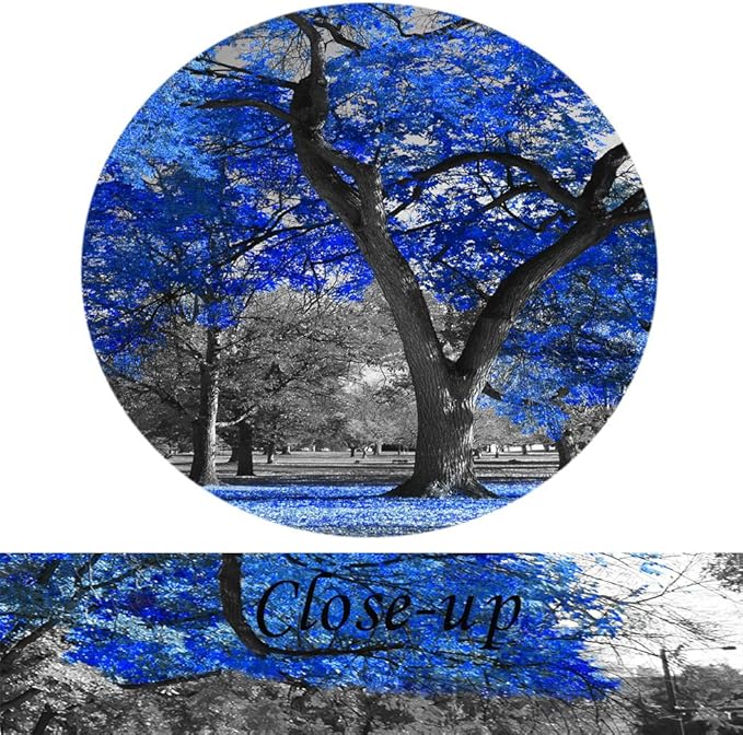 KREATIVE ARTS Canvas Print Wall Art Painting Contemporary Blue Tree In Black And White Style Fall Landscape Picture Modern Giclee Stretched And Framed Artwork (Large Size 60x32inch)