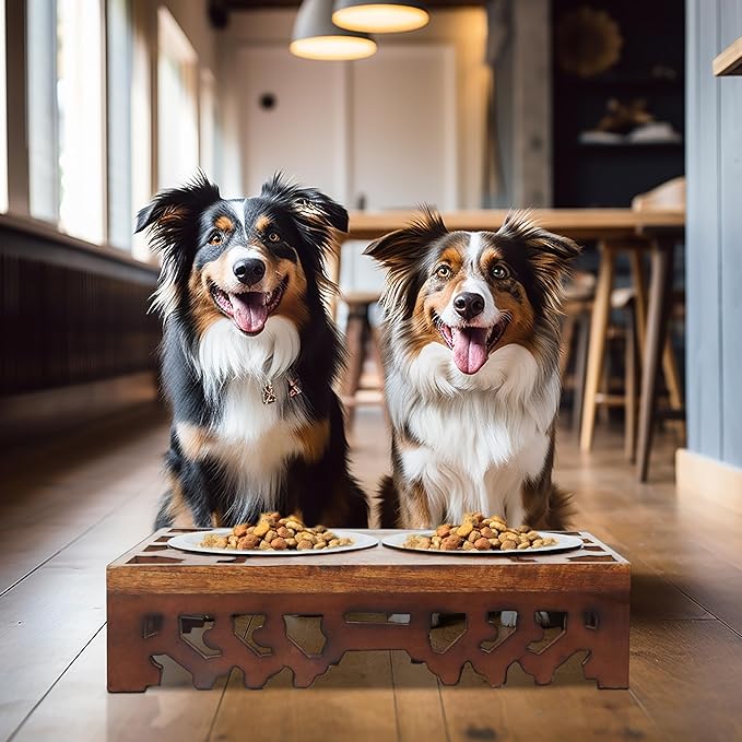 Elevated Pet Feeder for Dogs and Cats - Hand Carved Wood Bones Raised Dog Bowl Stand - Pet Feeding Stand with Two Steel Bowls - Raised Dog Bowl for Food Water - Pet Feeding Station -17x11x4- IRONGATE
