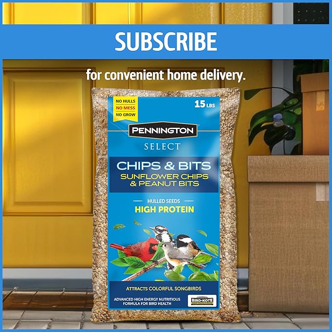 Pennington Select Chips & Bits Wild Bird Seed for Outside Feeders, High-Protein, No-Hull & No-Waste, Sunflower Chips & Peanut Bits Attract Songbirds,15-lb. Bag