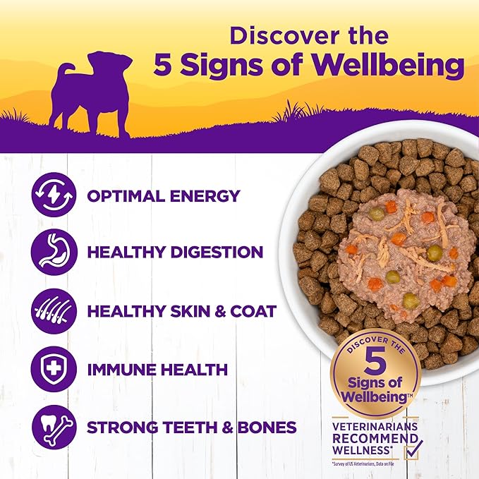 Wellness Petite Entrées Shredded Medley with Roasted Chicken, Duck, Peas & Carrots, 3-Ounce Cup (Pack of 12)