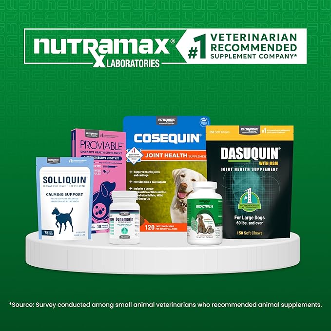 Nutramax Solliquin Calming Behavioral Health Supplement for Small to Medium Dogs and Cats - With L-Theanine, Magnolia / Phellodendron, and Whey Protein Concentrate, 75 Soft Chews