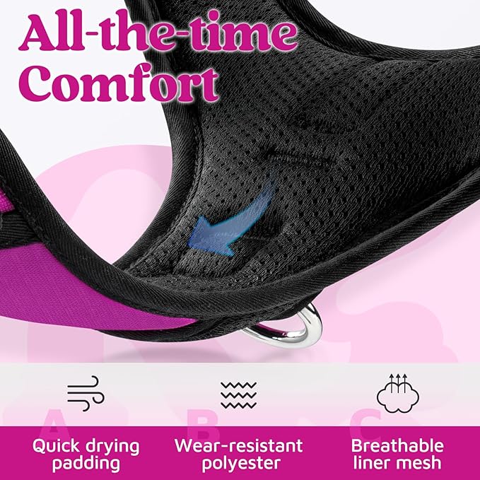 rabbitgoo Dog Harness Small Sized, No Pull Dog Vest with 3 Buckles, Adjustable Soft Padded Pet Harness with Easy Control Handle and Reflective Strips, Purple, S